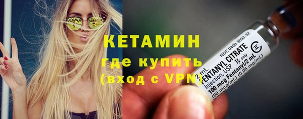 хмурый Гусь-Хрустальный