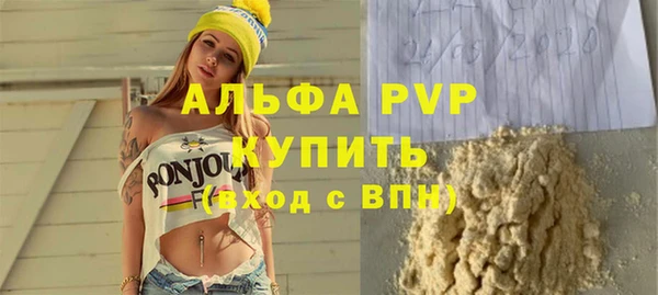 хмурый Гусь-Хрустальный