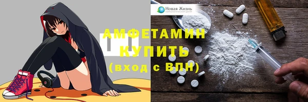 хмурый Гусь-Хрустальный