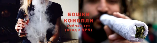 тгк Новозыбков