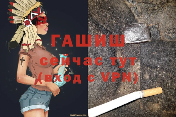 хмурый Гусь-Хрустальный