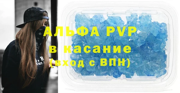 хмурый Гусь-Хрустальный