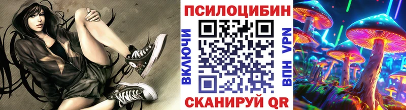 Псилоцибиновые грибы GOLDEN TEACHER Плёс